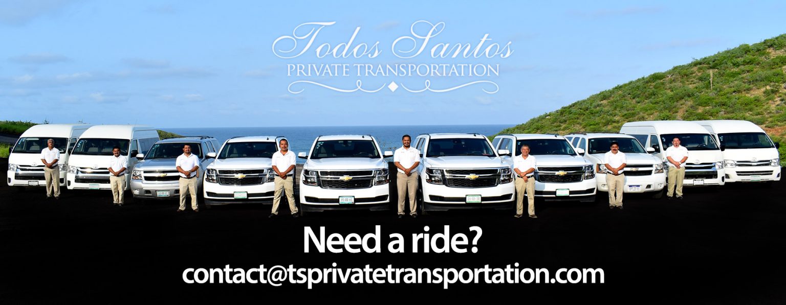 Mario Surf School Surf Lessons Todos Santos & Pescadero area.